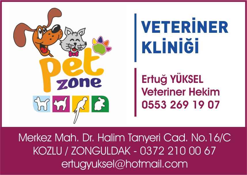 Pet Zone Kozlu